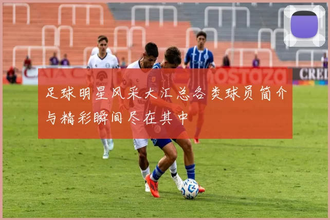 足球明星风采大汇总各类球员简介与精彩瞬间尽在其中