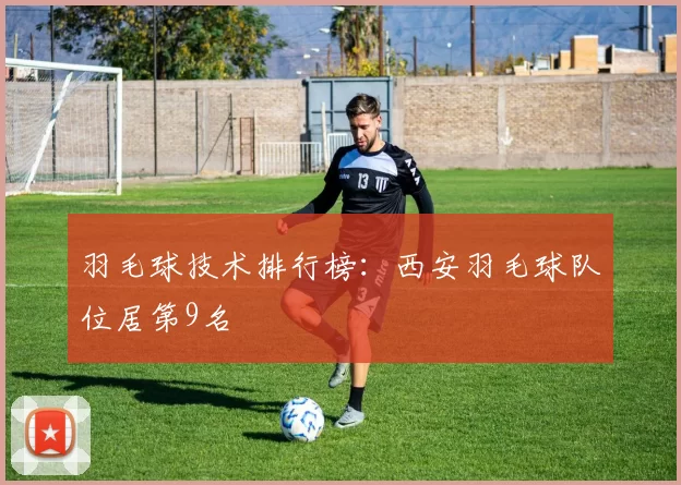 羽毛球技术排行榜：西安羽毛球队位居第9名