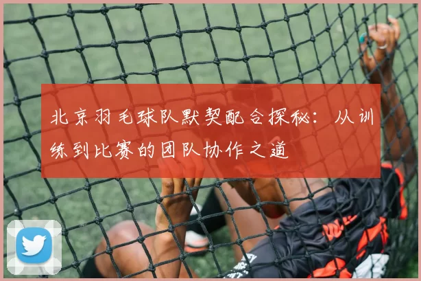 北京羽毛球队默契配合探秘：从训练到比赛的团队协作之道
