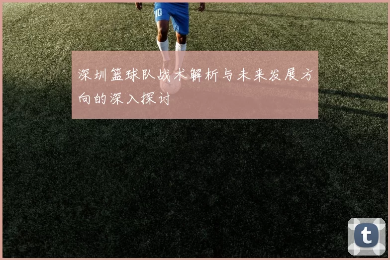 深圳篮球队战术解析与未来发展方向的深入探讨