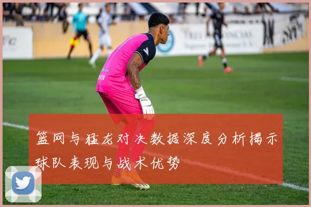 篮网与猛龙对决数据深度分析揭示球队表现与战术优势