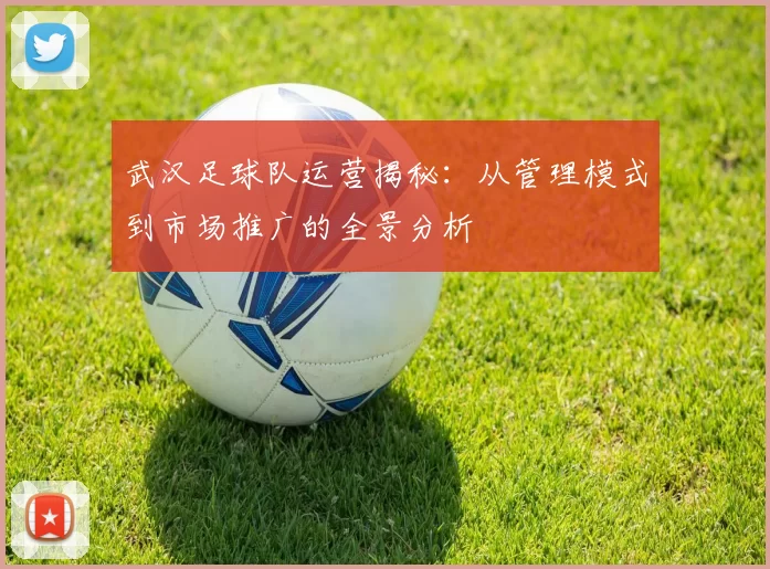 武汉足球队运营揭秘：从管理模式到市场推广的全景分析