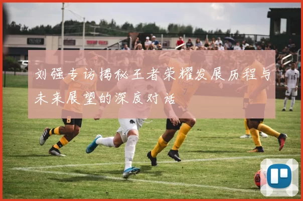 刘强专访揭秘王者荣耀发展历程与未来展望的深度对话