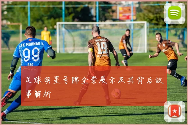 足球明星号牌全景展示及其背后故事解析