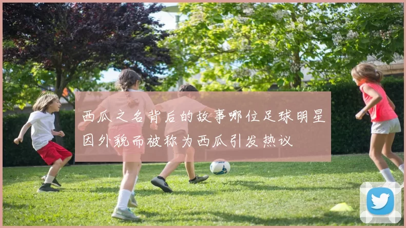 西瓜之名背后的故事哪位足球明星因外貌而被称为西瓜引发热议