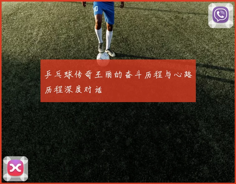 乒乓球传奇王丽的奋斗历程与心路历程深度对话