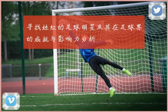 寻找姓红的足球明星及其在足球界的成就与影响力分析