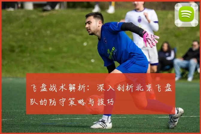 飞盘战术解析：深入剖析北京飞盘队的防守策略与技巧