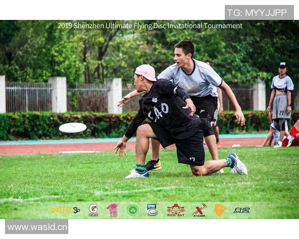 深圳飞盘队节奏对比深度解析与战术探讨