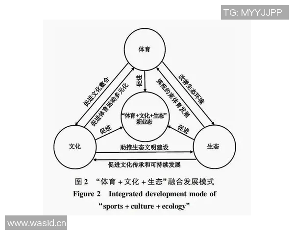 体育产业发展趋势与创新模式探索在新时代背景下的机遇与挑战 体育产业发展趋势与创新模式探索在新时代背景下的机遇与挑战