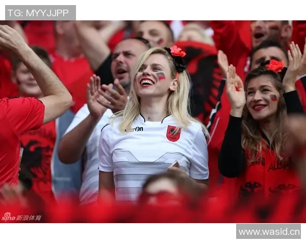 球迷文化的兴起与发展：从激情助威到社交网络时代的粉丝生态